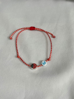 Ladybug name