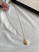 Coralsun